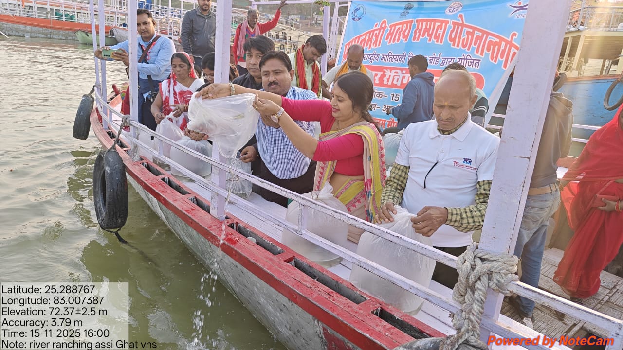 रिवर रैचिंग कार्यक्रम में गंगा में मत्स्य अगुलिका छोड़ते विशिष्ट जन