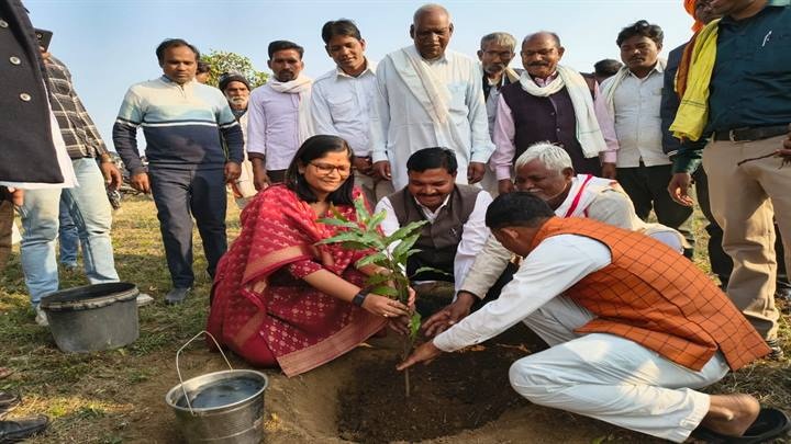 “एक पेड़ शबरी माता के नाम” से कलेक्टर ने रोपा पौधा