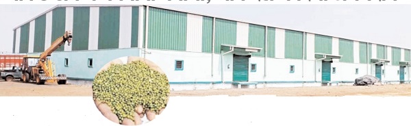 23 में से 9 वेयर हाउस की जांच सुर्खियों में