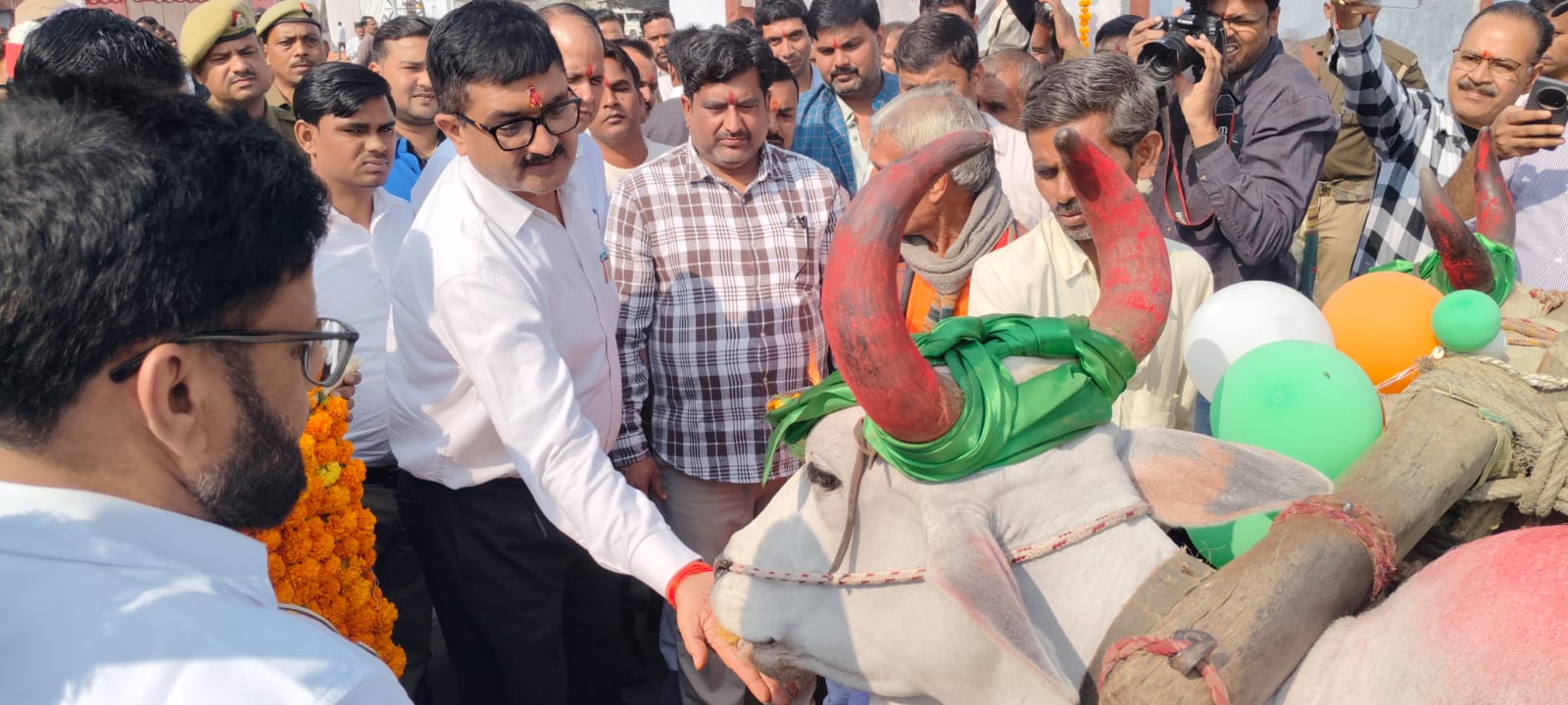 गाय को गुड़ खिलाते डीएम आशुतोष कुमार और मौजूद अन्य लोग