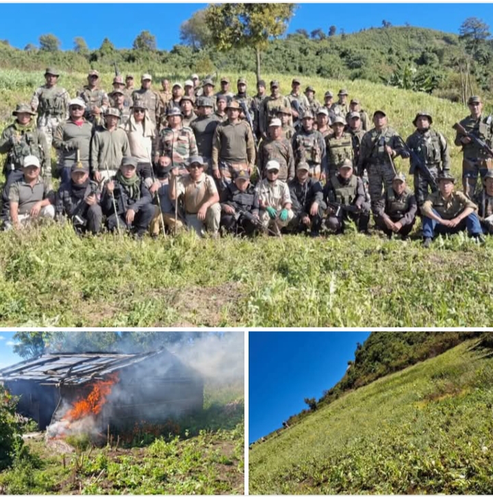 Image of the Manipur Forces Wiping Out Over 476 Acres of Illegal Poppy Cultivation.