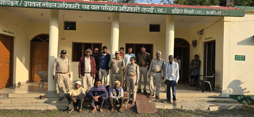 Seoni: Three accused were caught along with a pickup vehicle while transporting illegal timber. Seoni: Three accused were caught along with a pickup vehicle while transporting illegal timber.