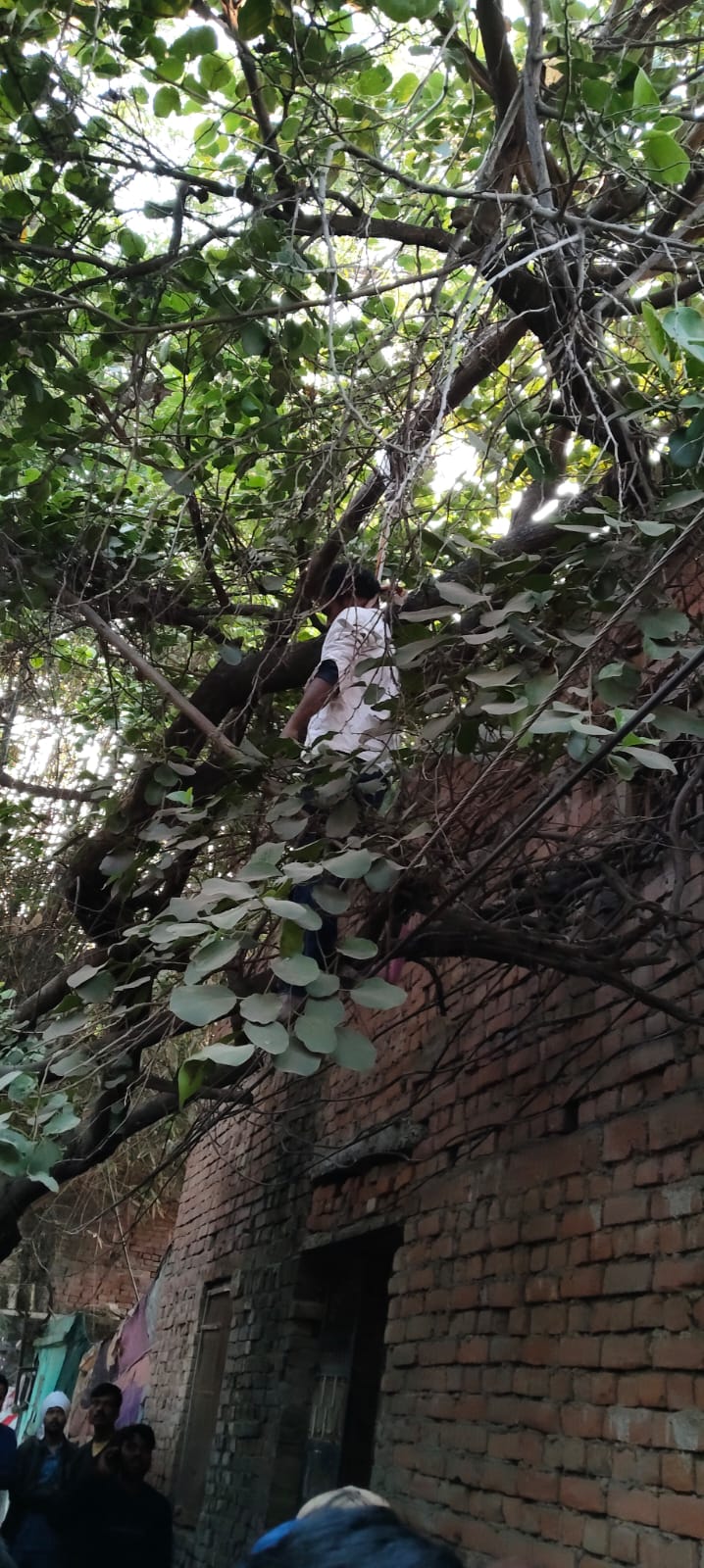 पेड़ से लटके युवक की लाश