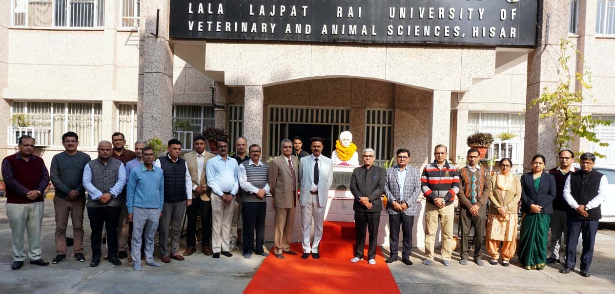 लाला लाजपत राय की प्रतिमा पर माल्यार्पण अवसर पर उपस्थित कुलपति प्रो. विनोद कुमार वर्मा एव अन्य अधिकारी।