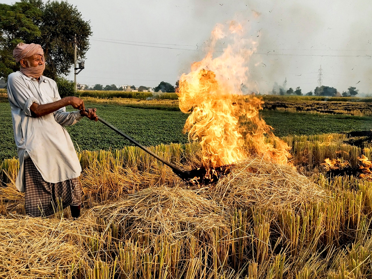 फाइल फोटो फाइल फोटो