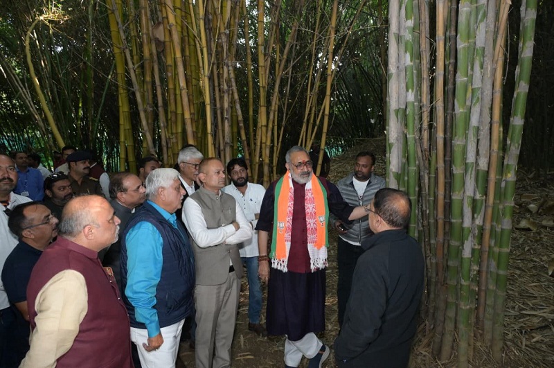 केन्द्रीय मंत्री गिरिराज सिंह ने जबलपुर में देखी बैम्बू की खेती