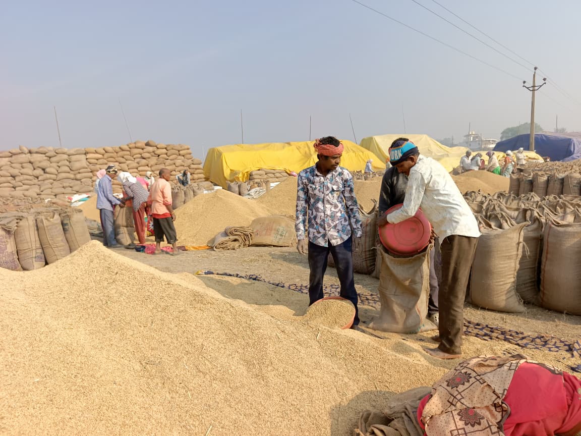 धान खरीदी केंद्र में धान की तौलाई करते हुए किसान।