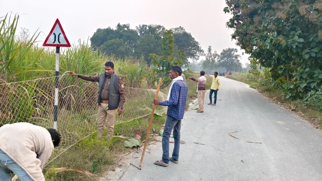 रेस्क्यू करती वन विभाग की टीम