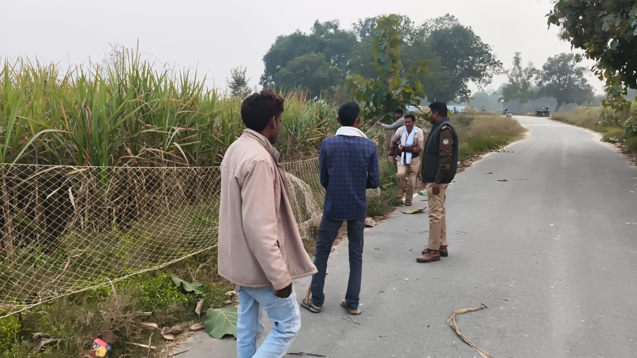 जाल बिछाते हुए वन विभाग कर्मी