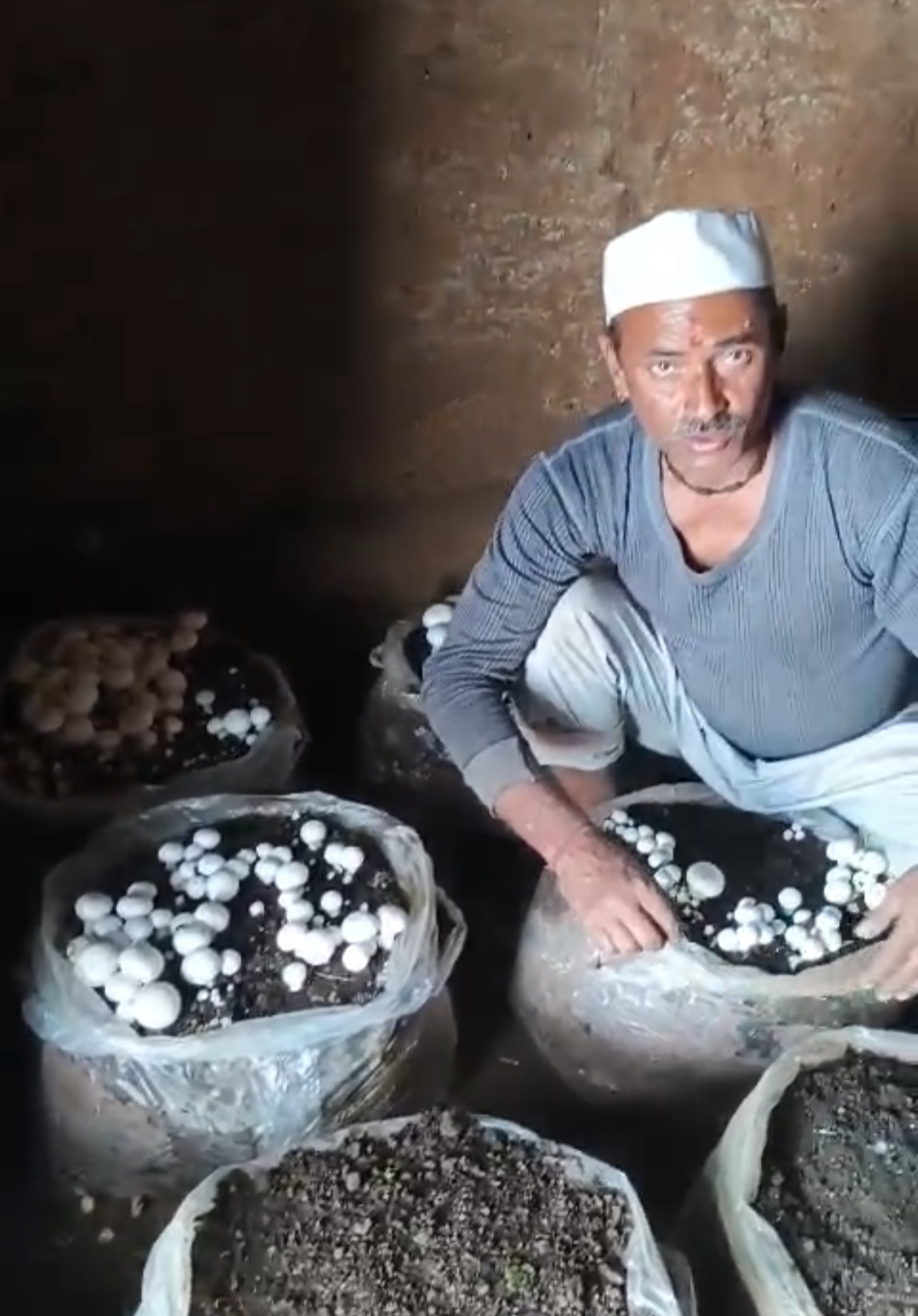 मसरूम उत्पादन के साथ प्रगतिशील किसान