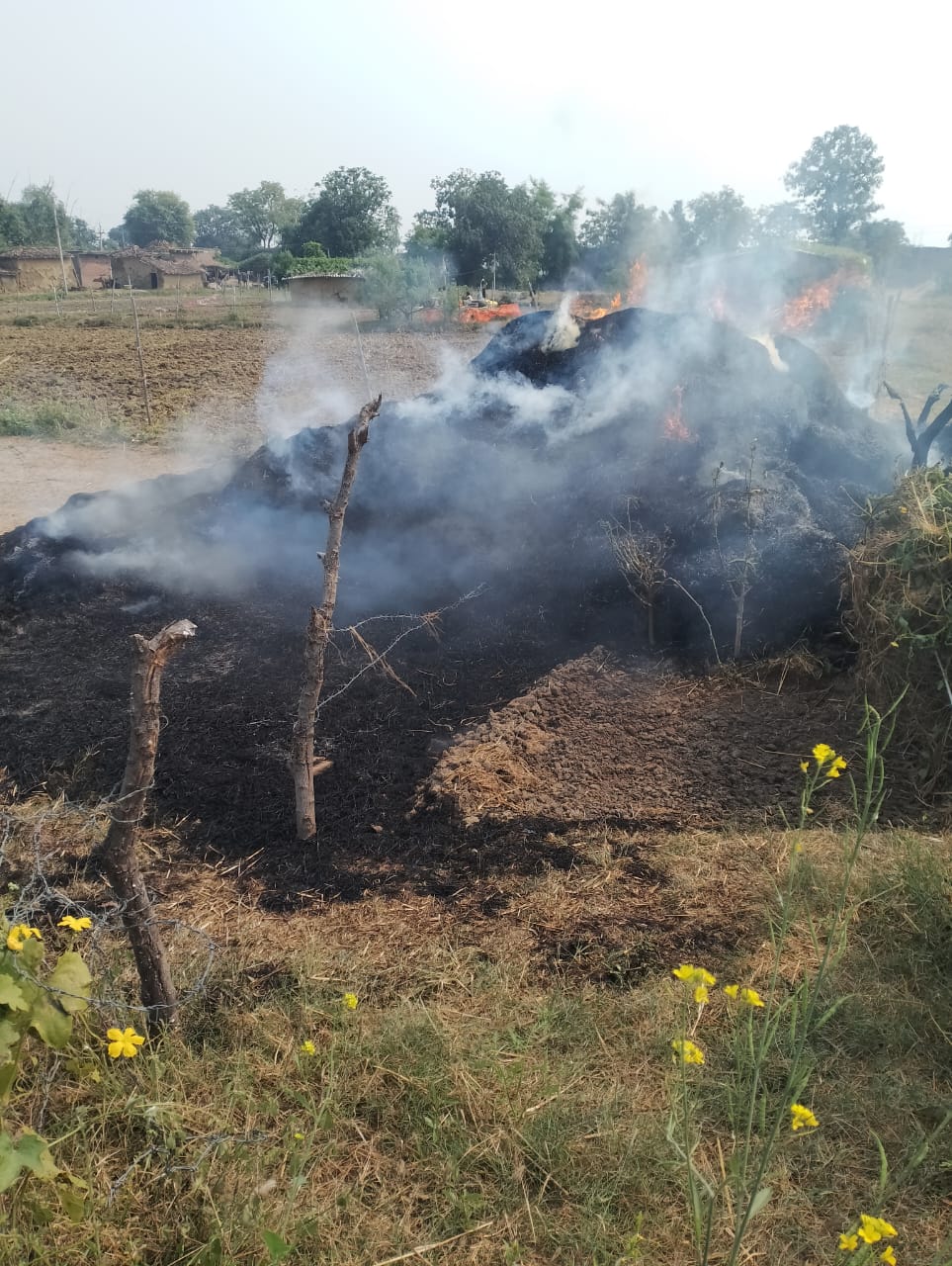 सिकटा गांव के अतरी दक्षिण मजरे में खलिहान में लगी आग