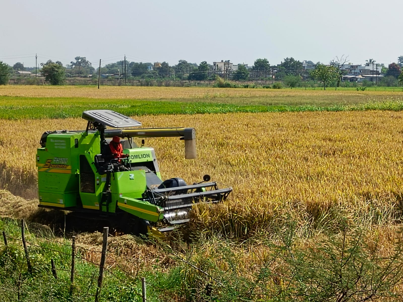 हार्वेस्टर मशीन से धान की कटाई-मिंजाई करते हुए किसान।