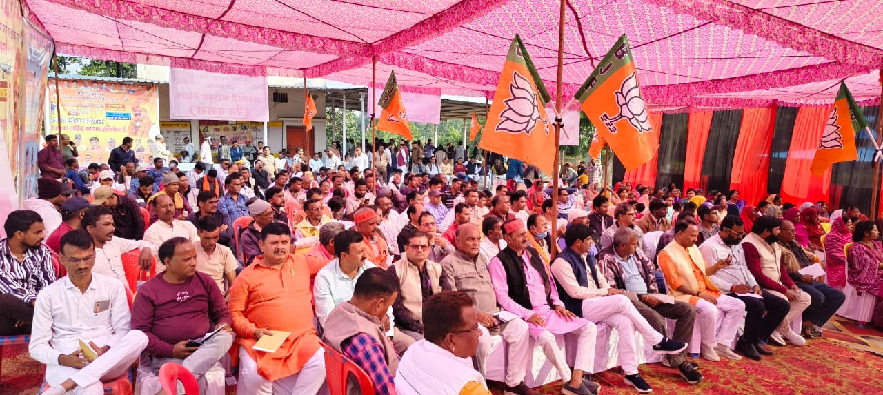 उपस्थित भाजपा के लाेग