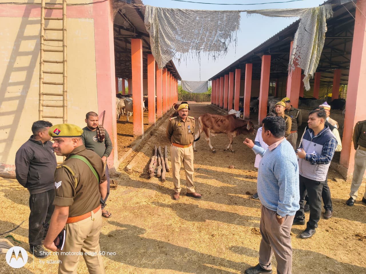 गौशाला का निरीक्षण करते जिलाधिकारी