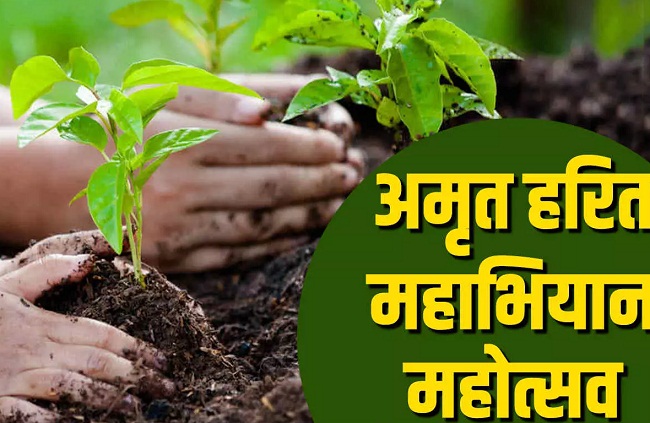 अमृत हरित महाअभियान (प्रतीकात्मक तस्वीर)