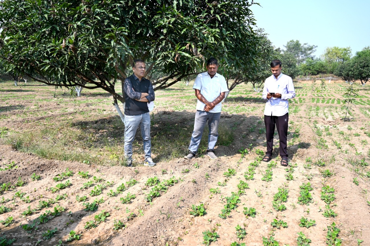 कलेक्टर श्री महोबे पहुंचे प्रगतिशील किसान छबी राम डडसेना के खेत, किसान की नवाचार और खेती के प्रति सकारात्मक दृष्टिकोण की प्रशंसा की