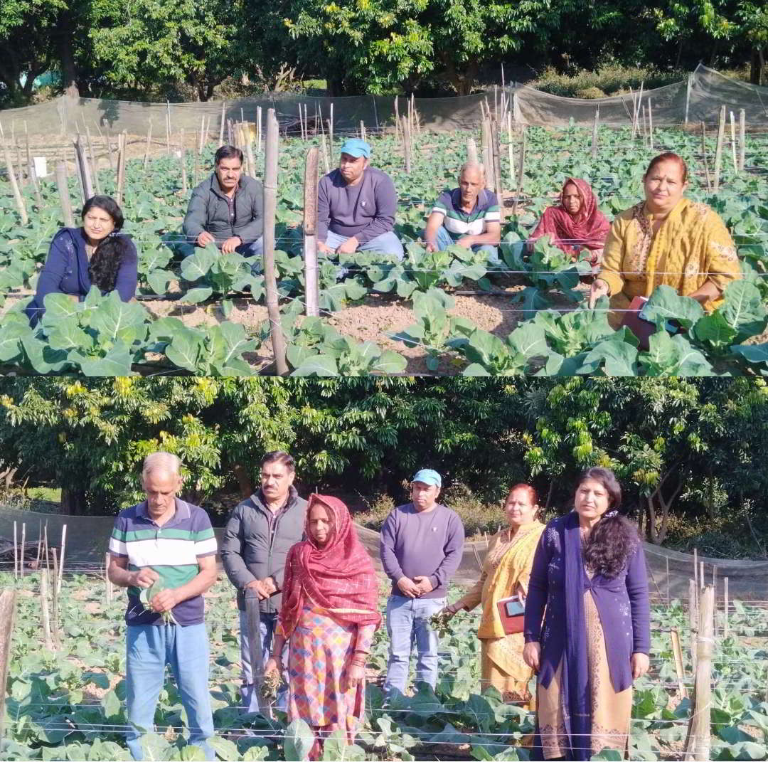 उपायुक्त कांगड़ा और लाभार्थी।
