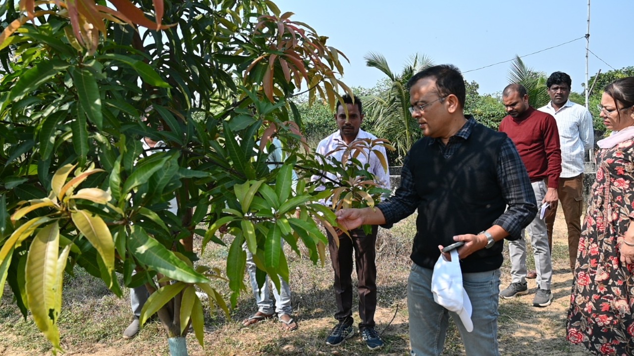 कलेक्टर श्री महोबे पहुंचे प्रगतिशील किसान छबी राम डडसेना के खेत, किसान की नवाचार और खेती के प्रति सकारात्मक दृष्टिकोण की प्रशंसा की