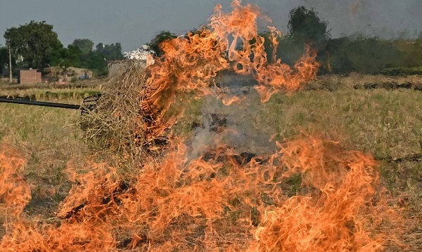 मुरैना: पराली जलाने पर किसानों पर लगा 20 हजार रुपए का जुर्माना मुरैना: पराली जलाने पर किसानों पर लगा 20 हजार रुपए का जुर्माना