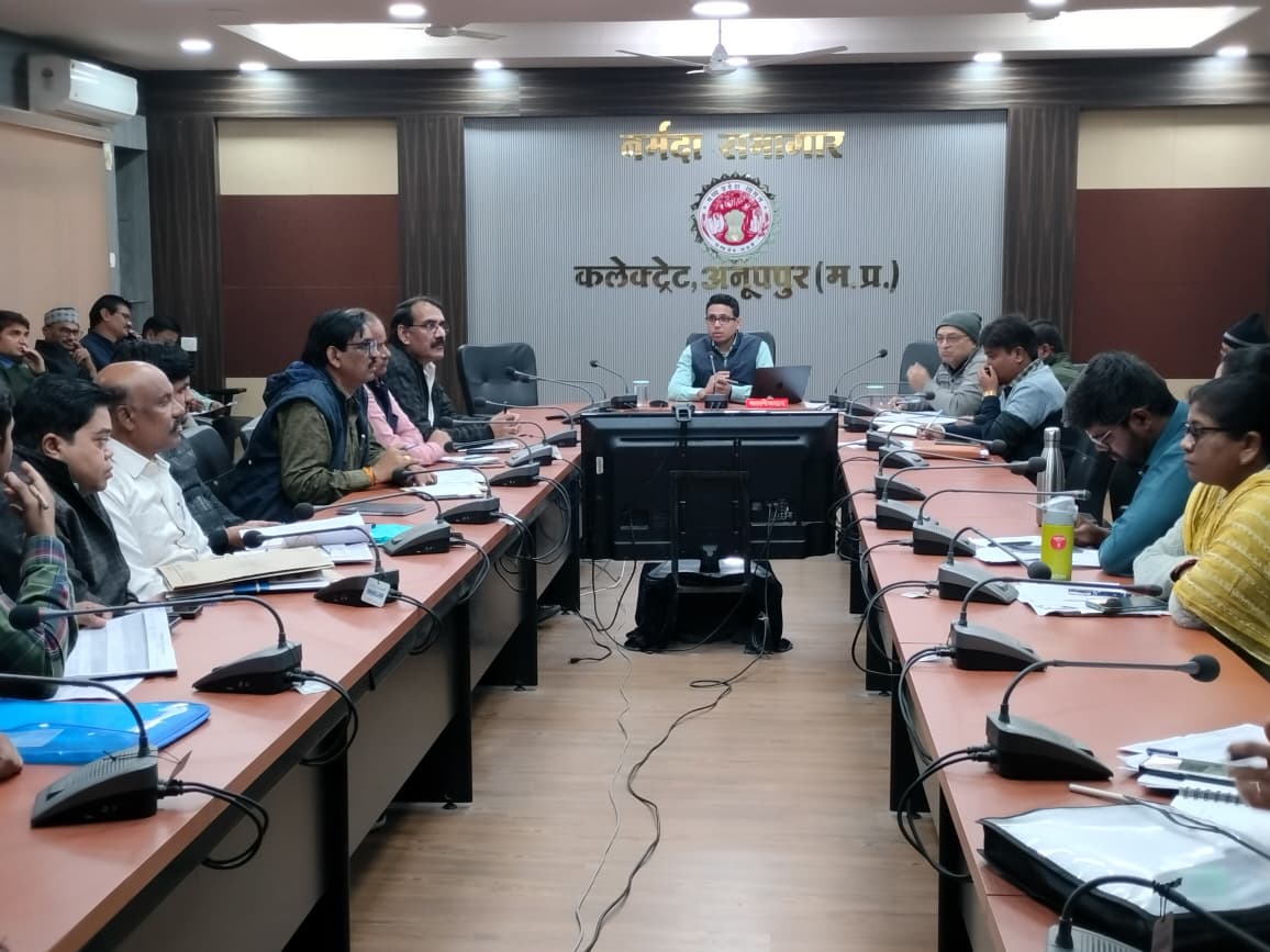 समयावधि पत्रों की समीक्षा बैठक में कलेक्टर