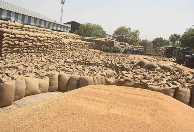 गेहूं खरीदी (प्रतीकात्मक तस्वीर)
