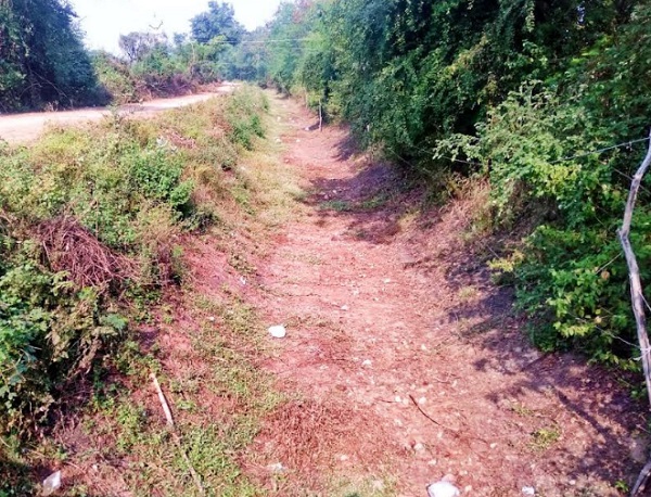 दतिया: नहर में पानी नहीं छोड़े जाने से किसान परेशान