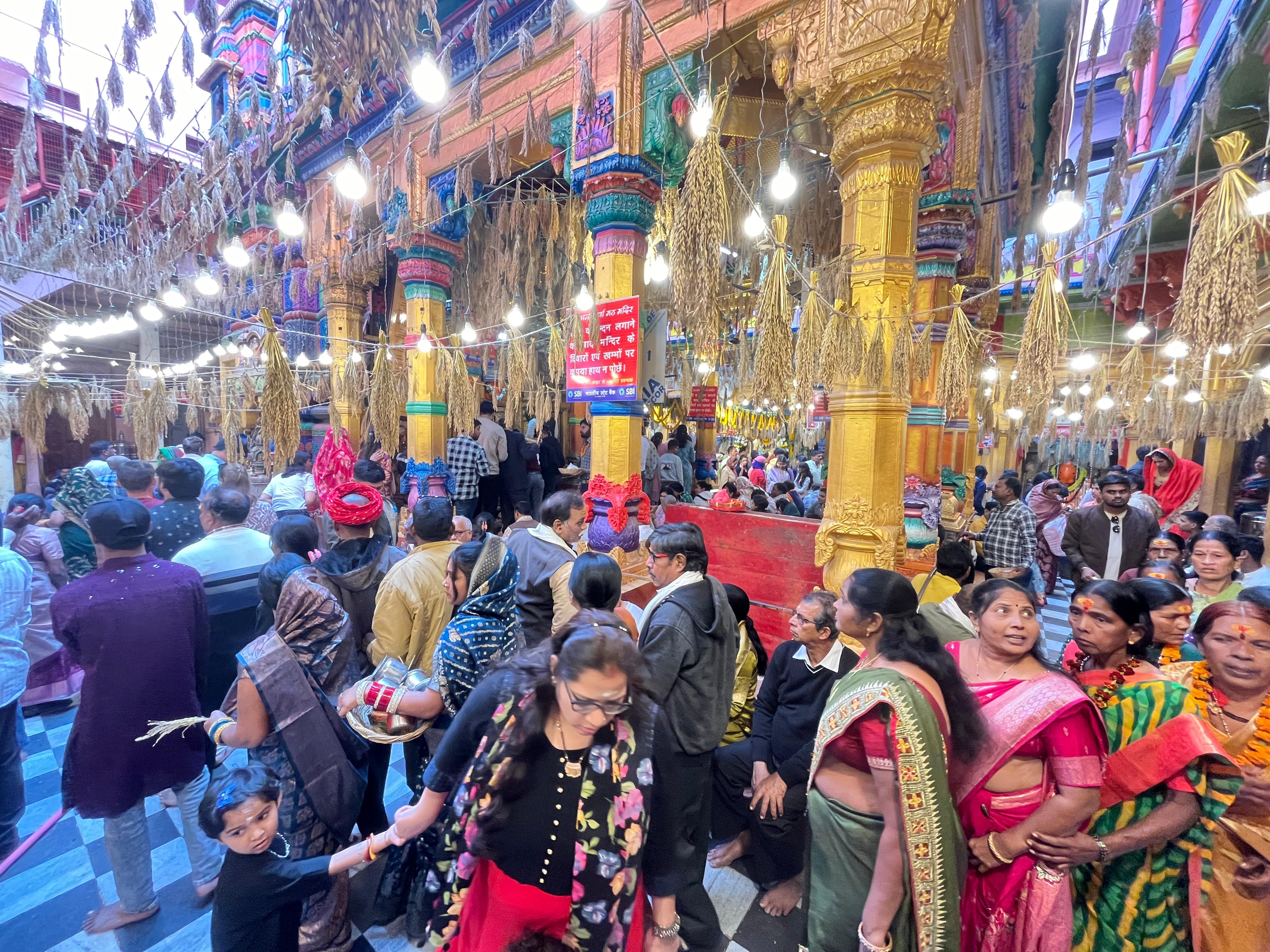 धान की बालियों से सजा मां अन्नपूर्णा का दरबार