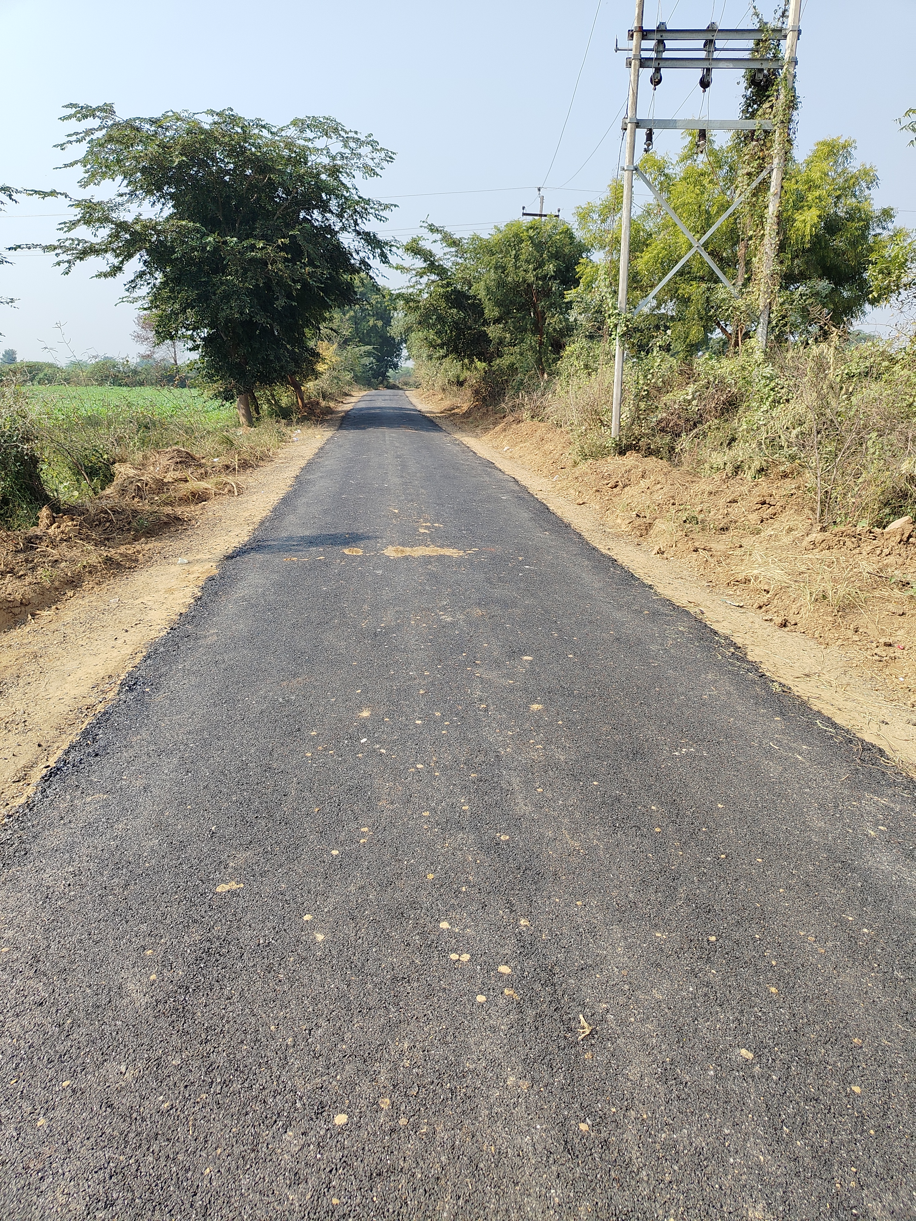 फोटो फोटो