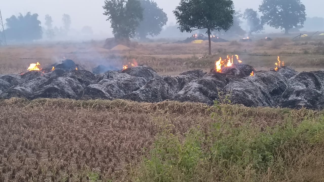 खलिहान में जलती धान की फसल और पुआल। खलिहान में जलती धान की फसल और पुआल।
