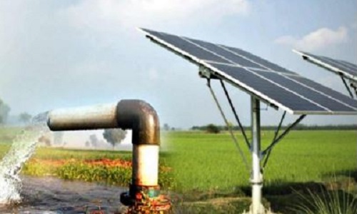 प्रतीकात्मक फोटो।