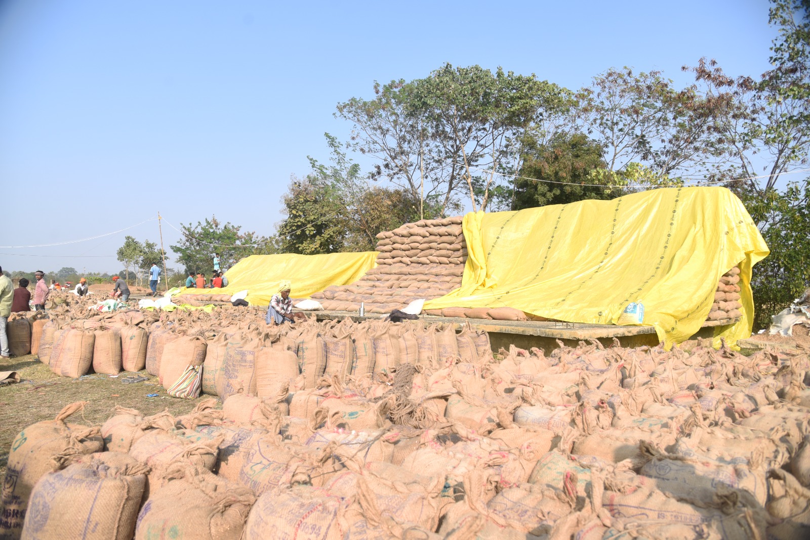 धान खरीदी त्यौहार