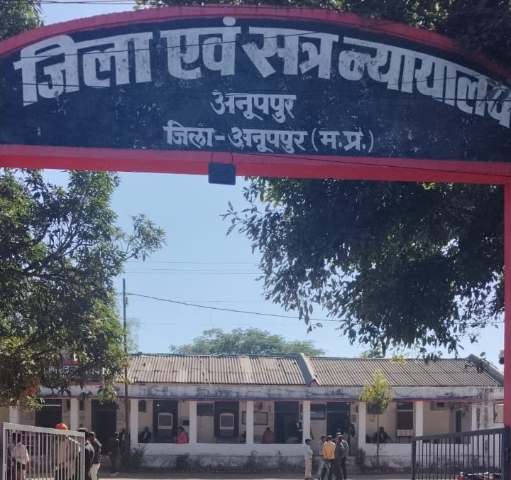 फाईल फाईल