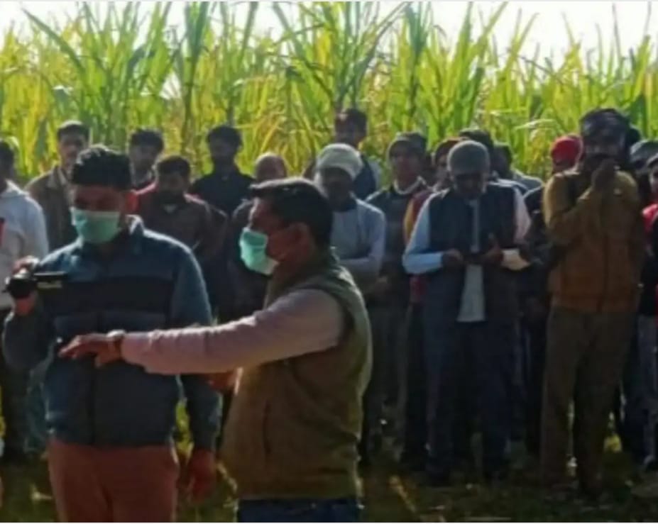 खेत में मौजूद ग्रामीण खेत में मौजूद ग्रामीण