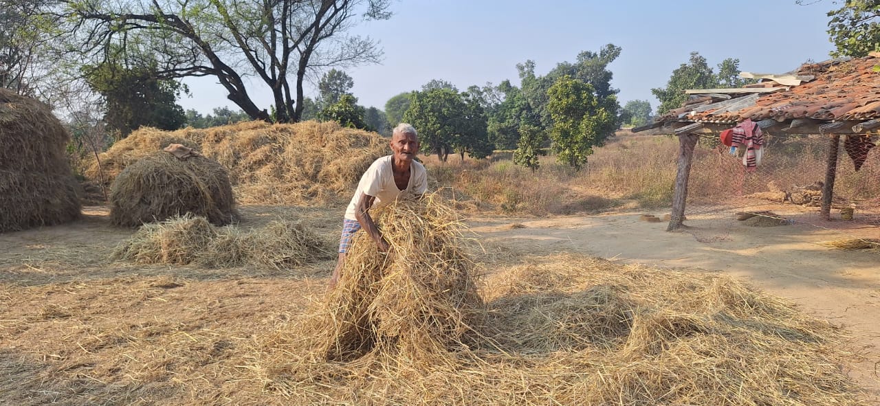कोरबा : कड़ी मेहनत, बदलते दौर और सुविधाओं का साथ - 90 वर्षीय किसान राम सिंह आज भी कर रहे खेती किसानी