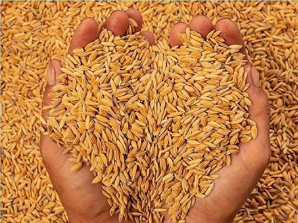 सांकेतिक फाेटाे सांकेतिक फाेटाे