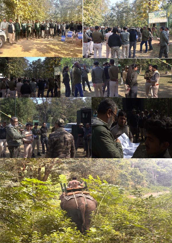 Big news from Seoni: Preparations for JPC to transfer tigress from Pallavaram Tiger Reserve to Rajasthan begin, levelling process inconclusive