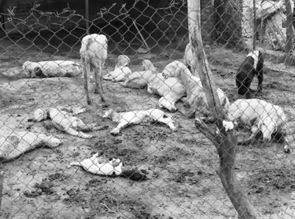 फाइल फोटो