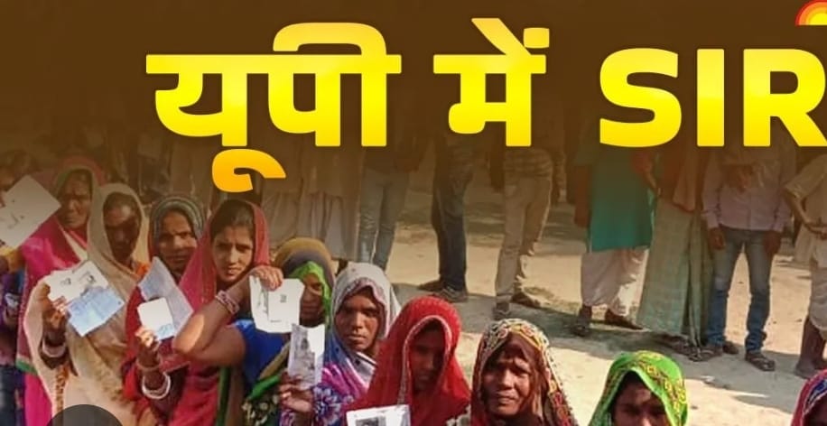 एसआईआर में बिठूर विधानसभा के 64 बीएलओ का शत-प्रतिशत कार्य पूरा एसआईआर में बिठूर विधानसभा के 64 बीएलओ का शत-प्रतिशत कार्य पूरा