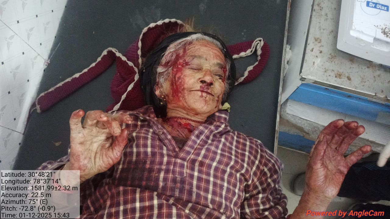उत्तरकाशी में भालू का आतंक, पाही गांव की बुजुर्ग महिला को किया घायल