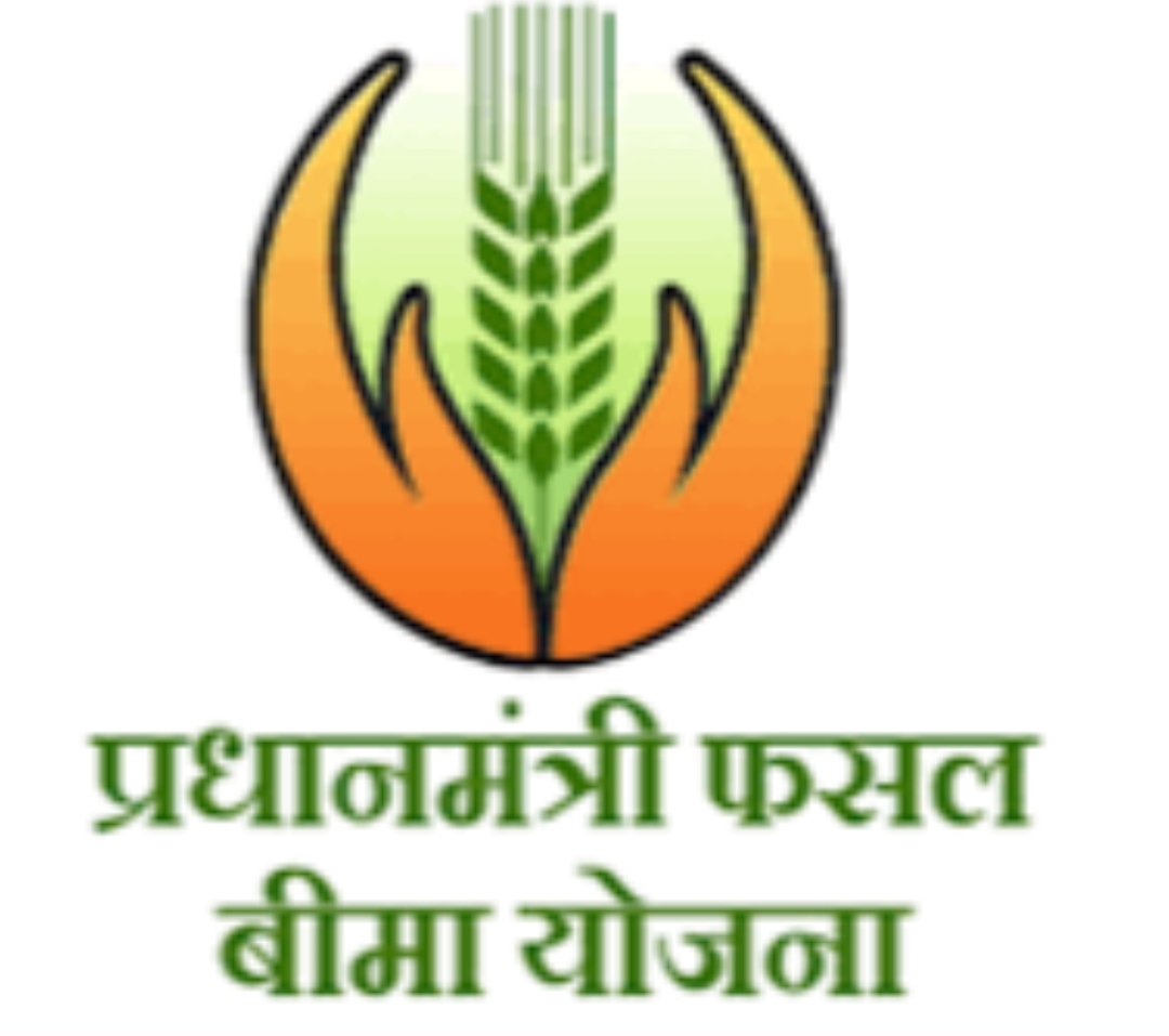 प्रतीकात्मक फोटो