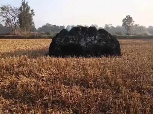 जांजगीर चांपा: खैरा गांव में खेतों की धान की खरही में लगी आग, किसानों को लाखों का नुकसान; जानबूझकर आग लगाने का आरोप जांजगीर चांपा: खैरा गांव में खेतों की धान की खरही में लगी आग, किसानों को लाखों का नुकसान; जानबूझकर आग लगाने का आरोप