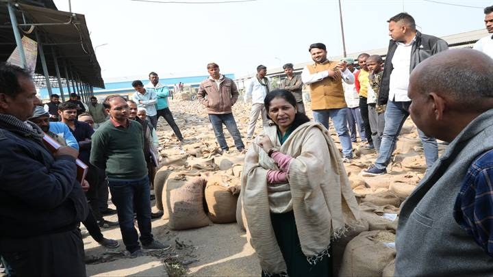 कलेक्टर ने करहिया मण्डी में लिया धान उपार्जन का जायजा कलेक्टर ने करहिया मण्डी में लिया धान उपार्जन का जायजा