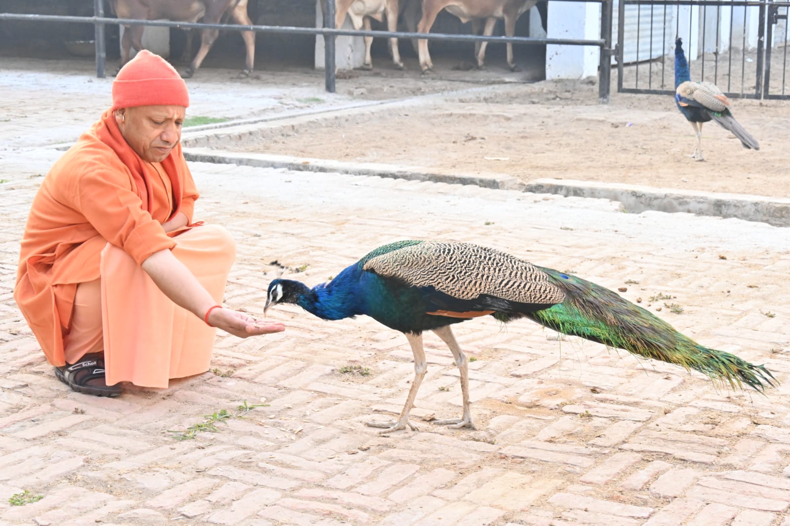 इमानदारी से कर्तव्य पालन करना, पर्यावरण संरक्षण, लोक कल्याण और अच्छा नागरिक बनना, वास्तविक देशभक्ति है - ले.जनरल योगेंद्र डिमरी (से.नि.)* इमानदारी से कर्तव्य पालन करना, पर्यावरण संरक्षण, लोक कल्याण और अच्छा नागरिक बनना, वास्तविक देशभक्ति है - ले.जनरल योगेंद्र डिमरी (से.नि.)*