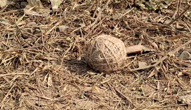 सिउड़ी में मिला देसी बम