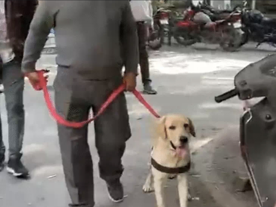 अजमेर की दरगाह व कलेक्ट्रेट को बम से उड़ाने की सूचना निकली झूठी