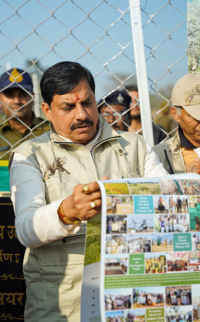 श्योपुर: Chief Minister डॉ मोहन यादव ने खुले जंगल में छोड़े तीन चीते, अब संख्या हुई 19 श्योपुर: Chief Minister डॉ मोहन यादव ने खुले जंगल में छोड़े तीन चीते, अब संख्या हुई 19