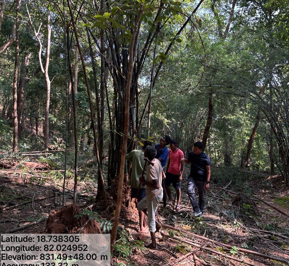 वन विभाग स्थानीय युवाओं को वानिकी कार्यों का प्रशिक्षण देकर उन्हें स्व-रोजगार दे रहा है वन विभाग स्थानीय युवाओं को वानिकी कार्यों का प्रशिक्षण देकर उन्हें स्व-रोजगार दे रहा है