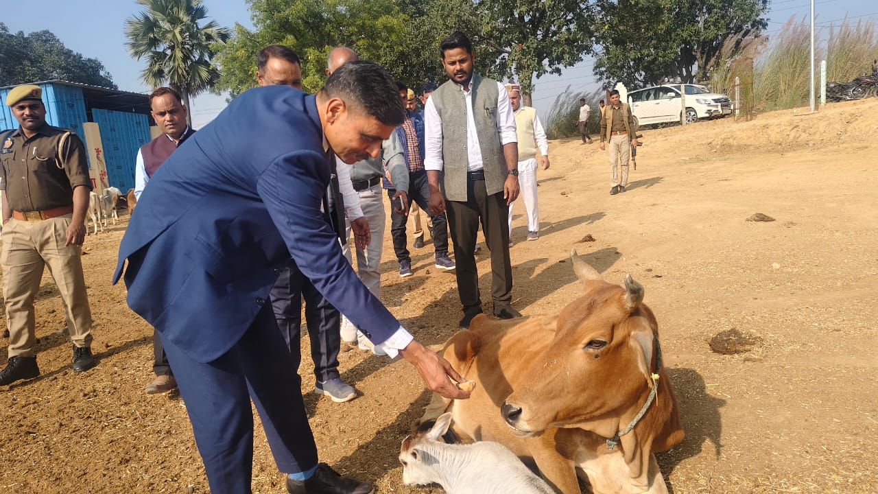गौ आश्रय स्थल में पशुओं के स्वास्थ्य की जानकारी लेते मण्डलायुक्त विन्ध्याचल मण्डल राजेश प्रकाश। गौ आश्रय स्थल में पशुओं के स्वास्थ्य की जानकारी लेते मण्डलायुक्त विन्ध्याचल मण्डल राजेश प्रकाश।