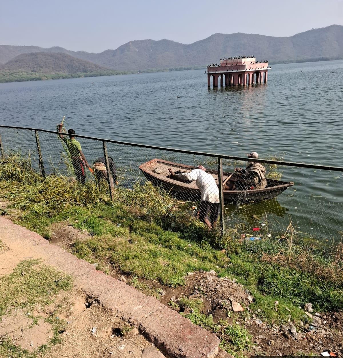 जल महल की पाल पर वृहद सफाई अभियान तेज जल महल की पाल पर वृहद सफाई अभियान तेज