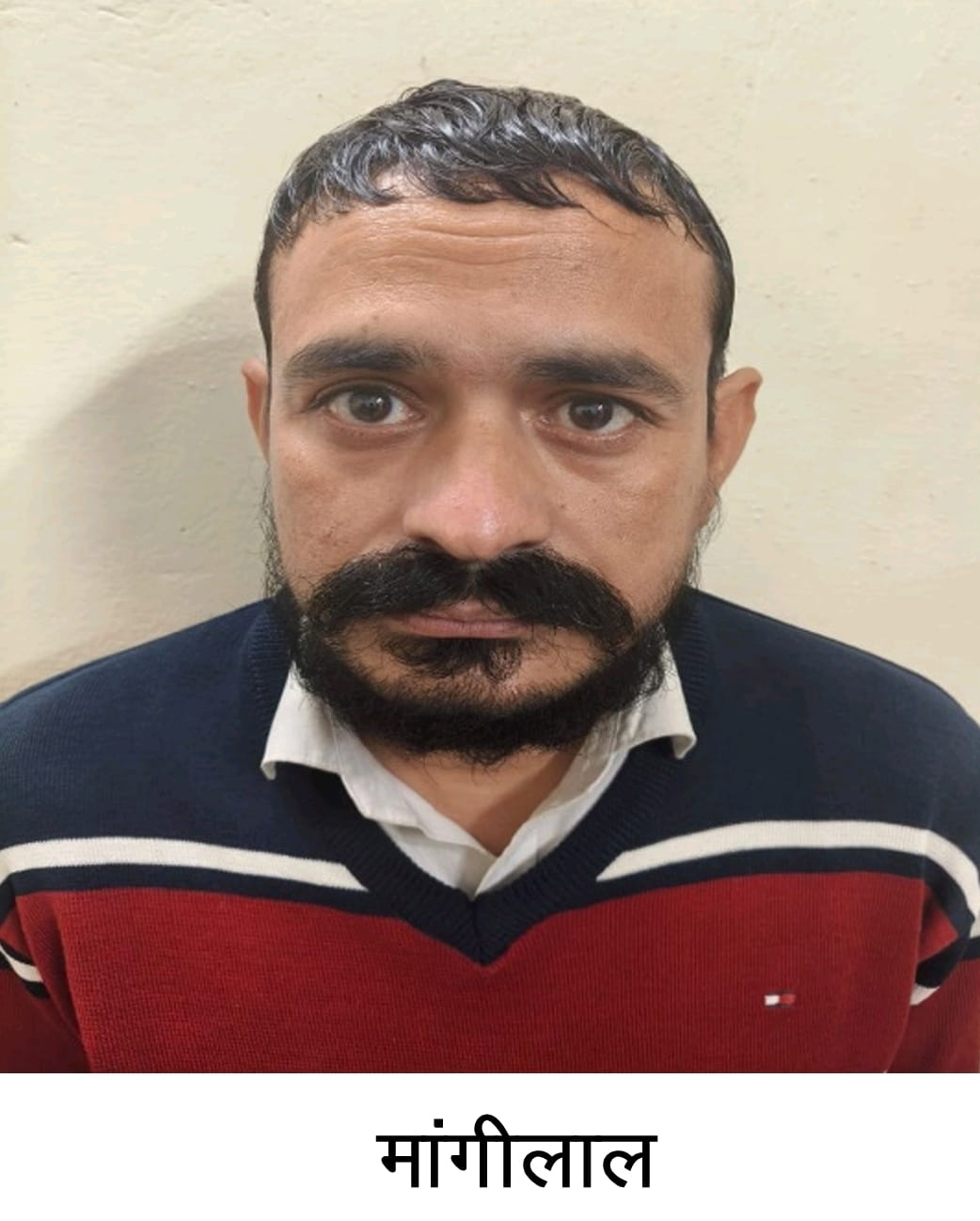 एसओजी ने फर्जी डिग्री उपलब्ध करवाने वाले मास्टरमाइंड को दबोचा